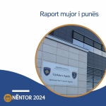 Gjykata e Apelit publikon raportin e punës për muajin nëntor të vitit 2024